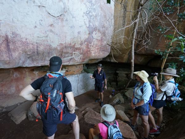 Indigenous Rock Art Mitchell Plateau the Kimberley