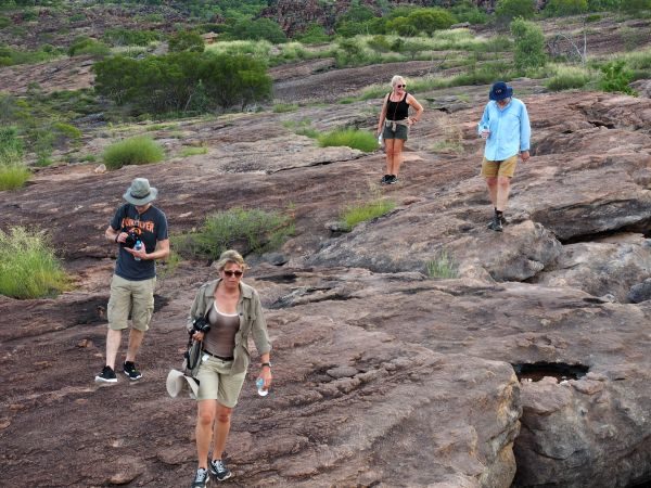 Kakadu Tours Walking