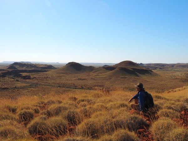 Pilbara Tours Australia Chichester ranges