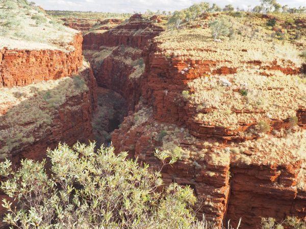 Karijini Tours Australia Dales Gorge