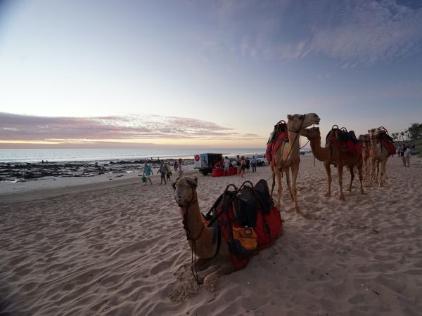 Kimberleys Tours- Broome Cable Beach