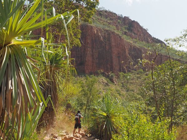 Kimberley Tours Australia Emma Gorge Elquestro