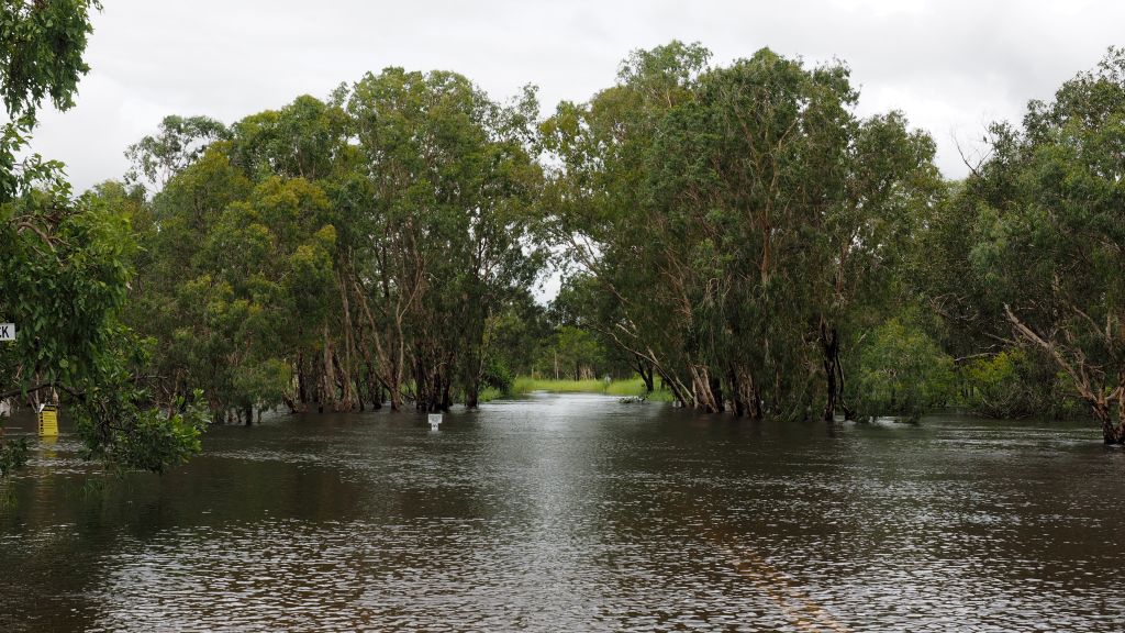 Kakadu Tours 2017 wet season