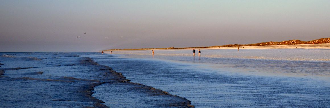 Pilbara Tours 80 mile beach