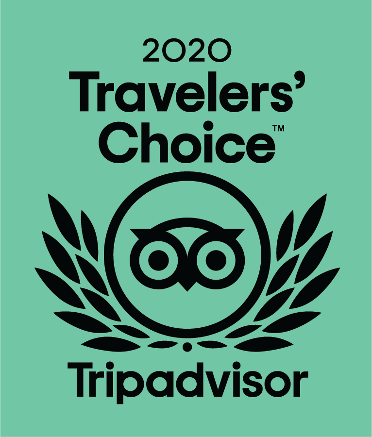 2020 Travelers Choice