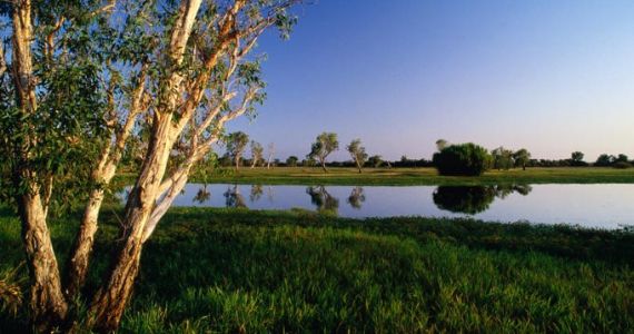 Billabong in Kakadu at sunset