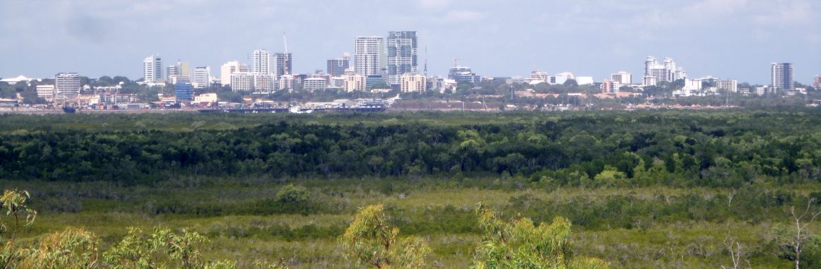 Darwin-Skyline-from-Charles-Darwin-National-Park