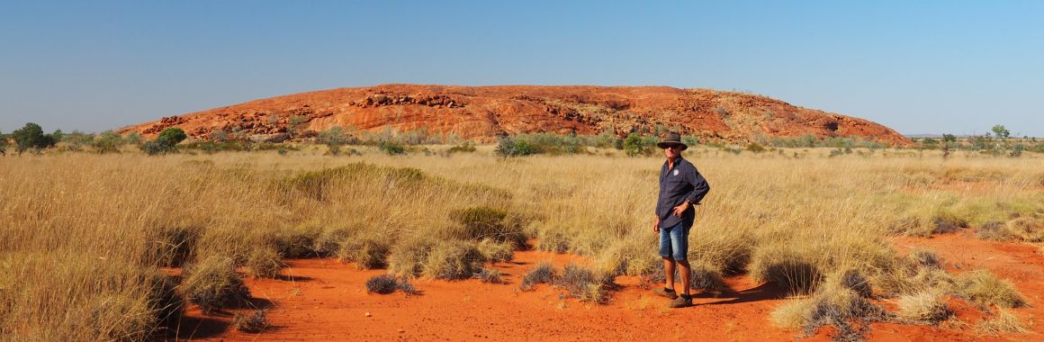 pilbara-tours-red-rock